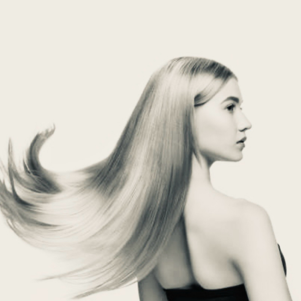 Full Foil W/ Roots & Cut at Shear Rebellion in Leesburg, VA