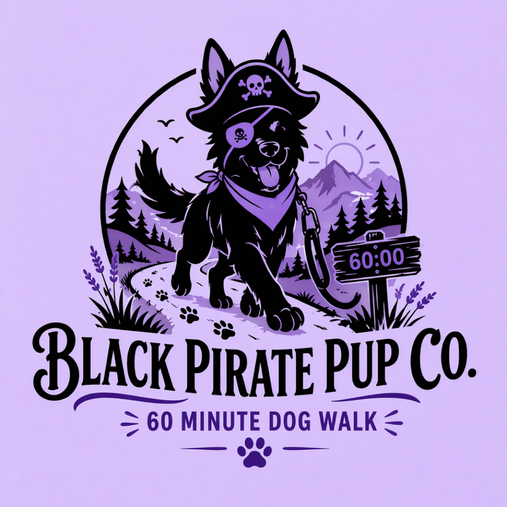 60 Minute Walk at Black Pirate Pup Co Dog Walking Division