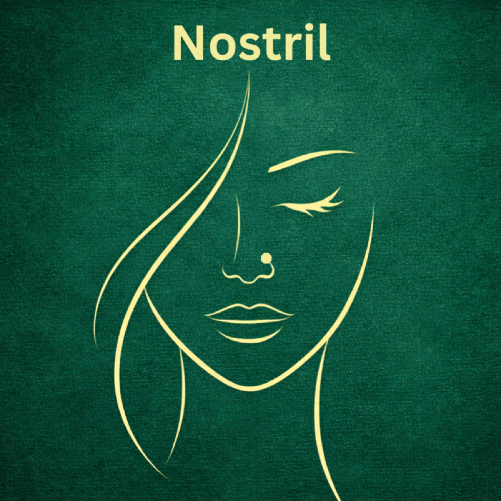 Nostril Piercing at Love It or Lose It Tattoo and Body Spa in Royse City, TX