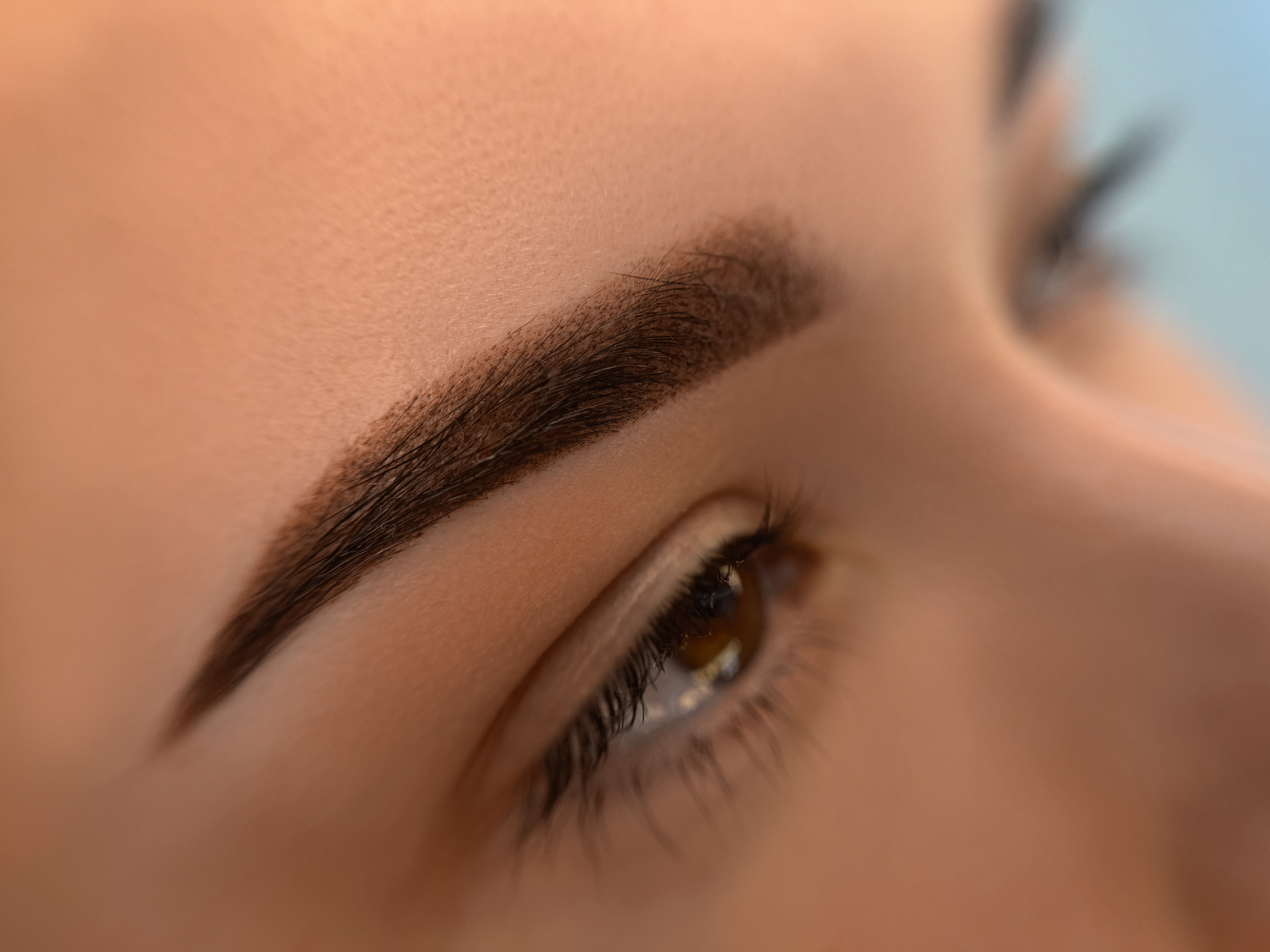 Powder Eyebrows Touch Up 30-90 days