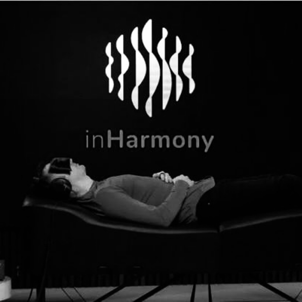 InHarmony Sound Lounge Therapy Bed at Rose And Thorn Day Spa in Wheat Ridge, CO