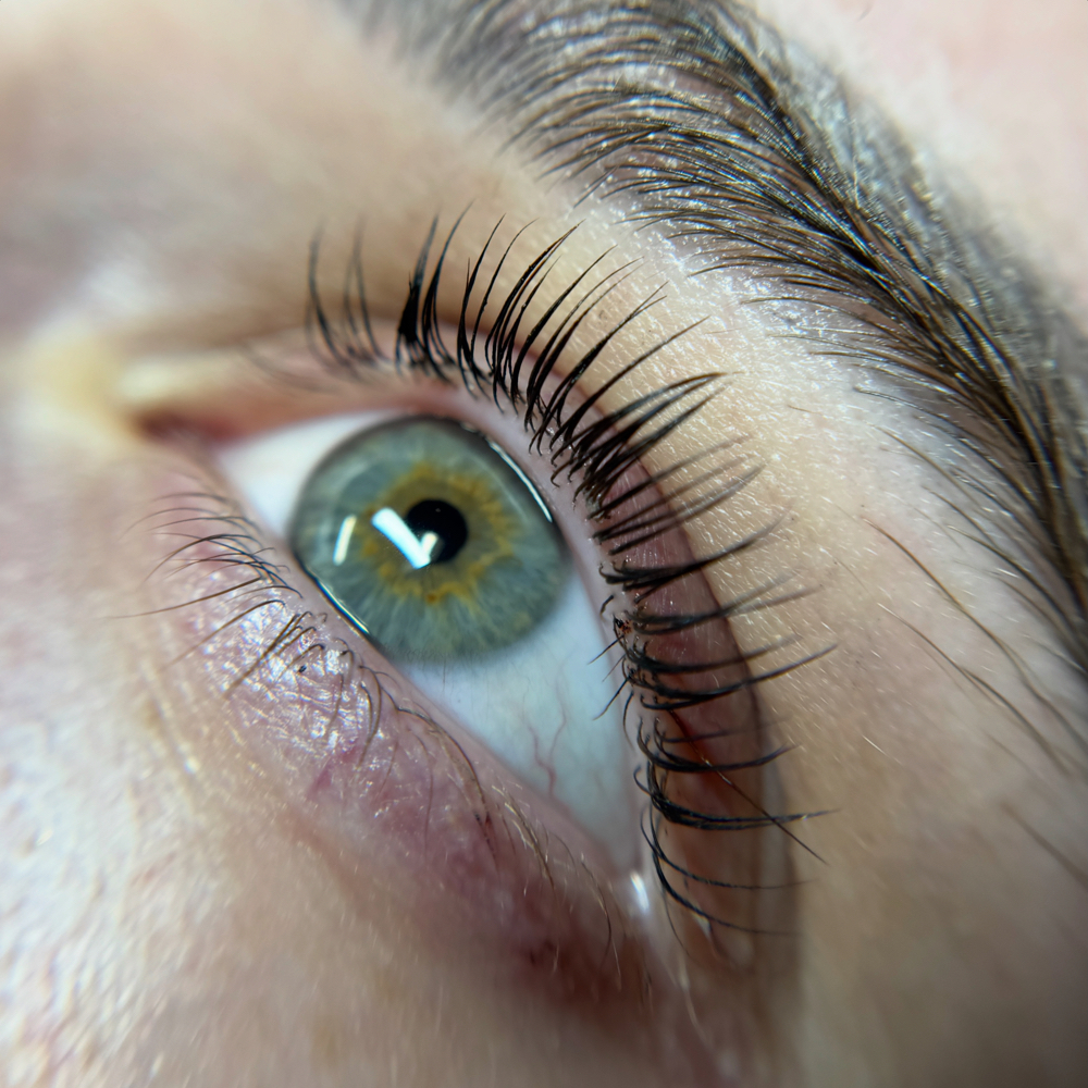 Lash Lift & Tint