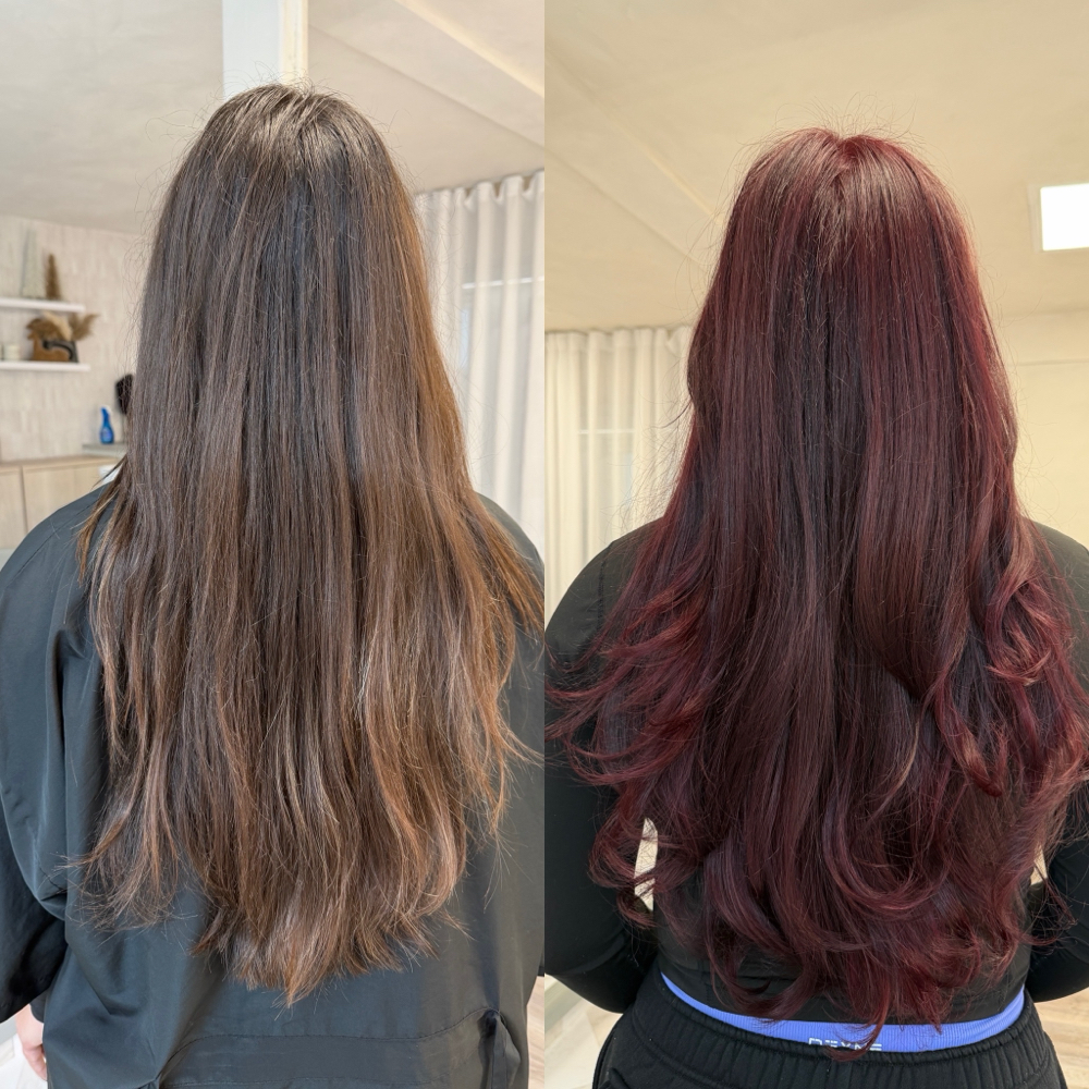 All Over Color at Luxe and Mane Co in Spring, TX