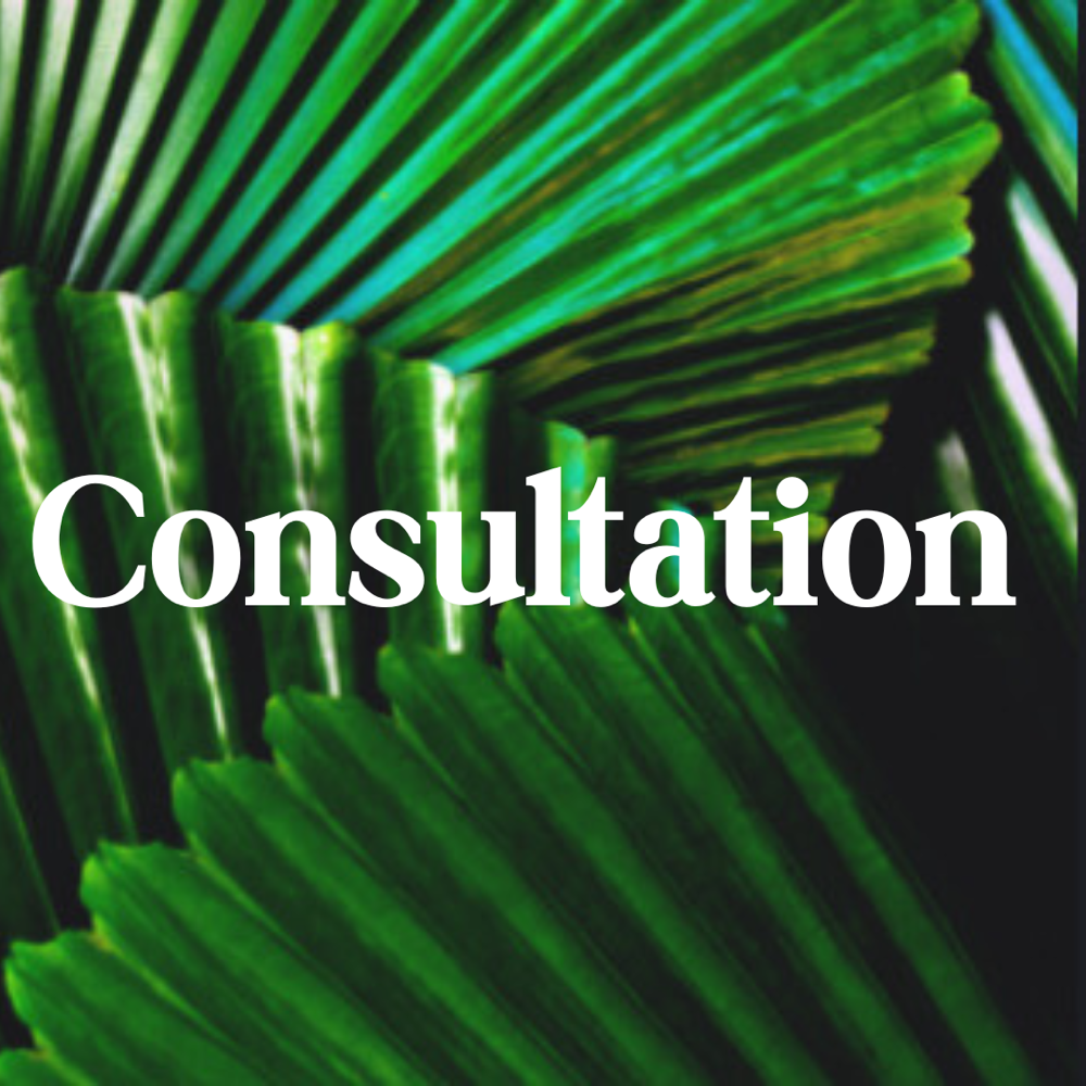 Consultation