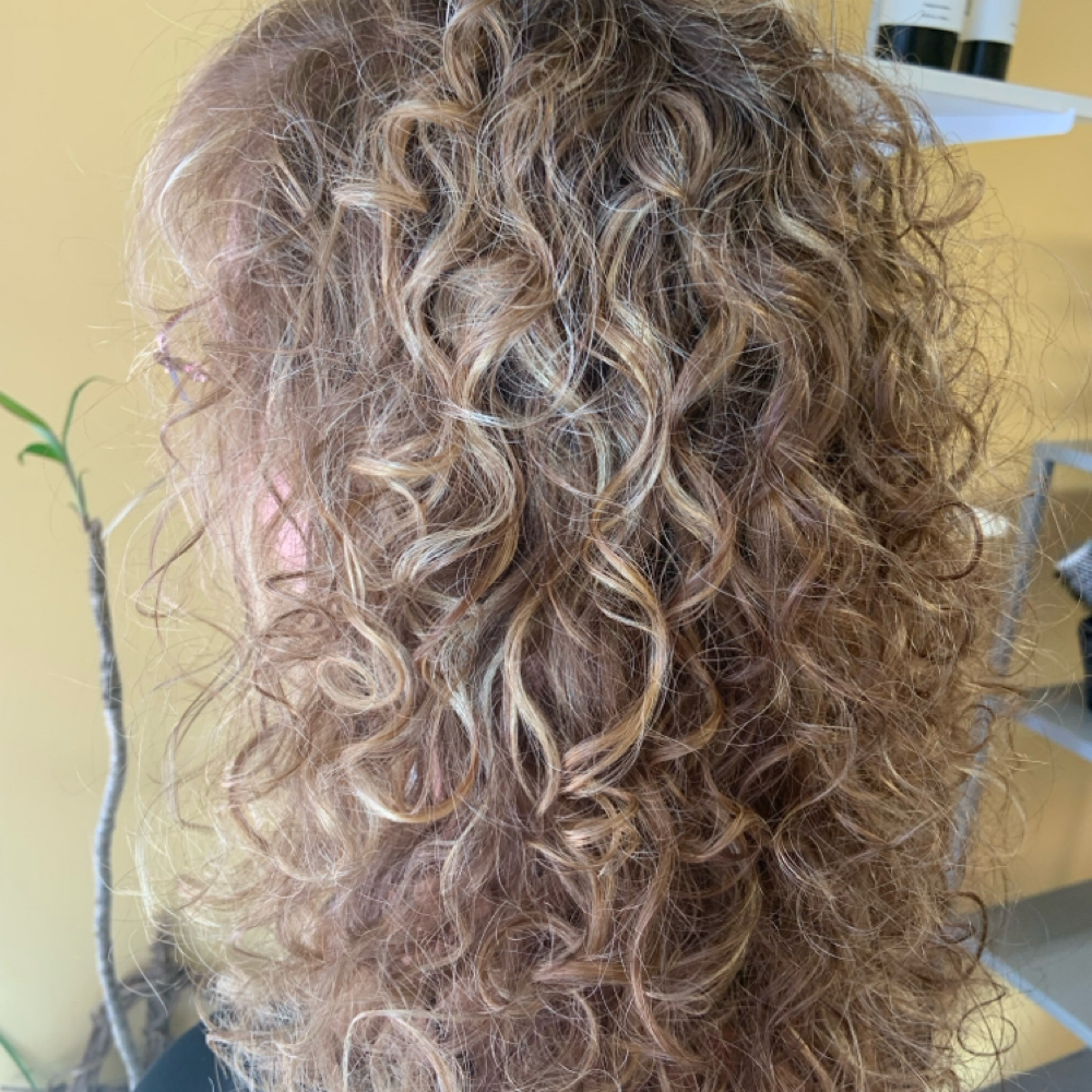 Curly Cut / Texture Cut at Something To Talk About Salon in Marion, NC