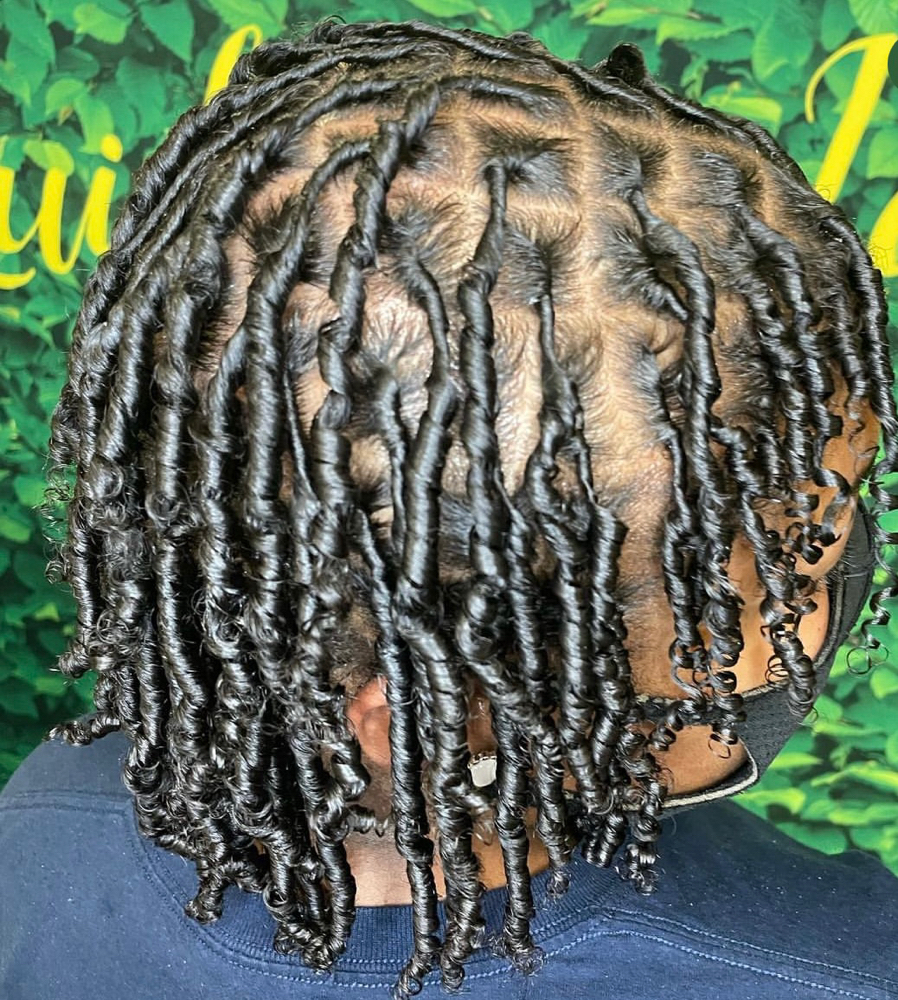 Starter Locs