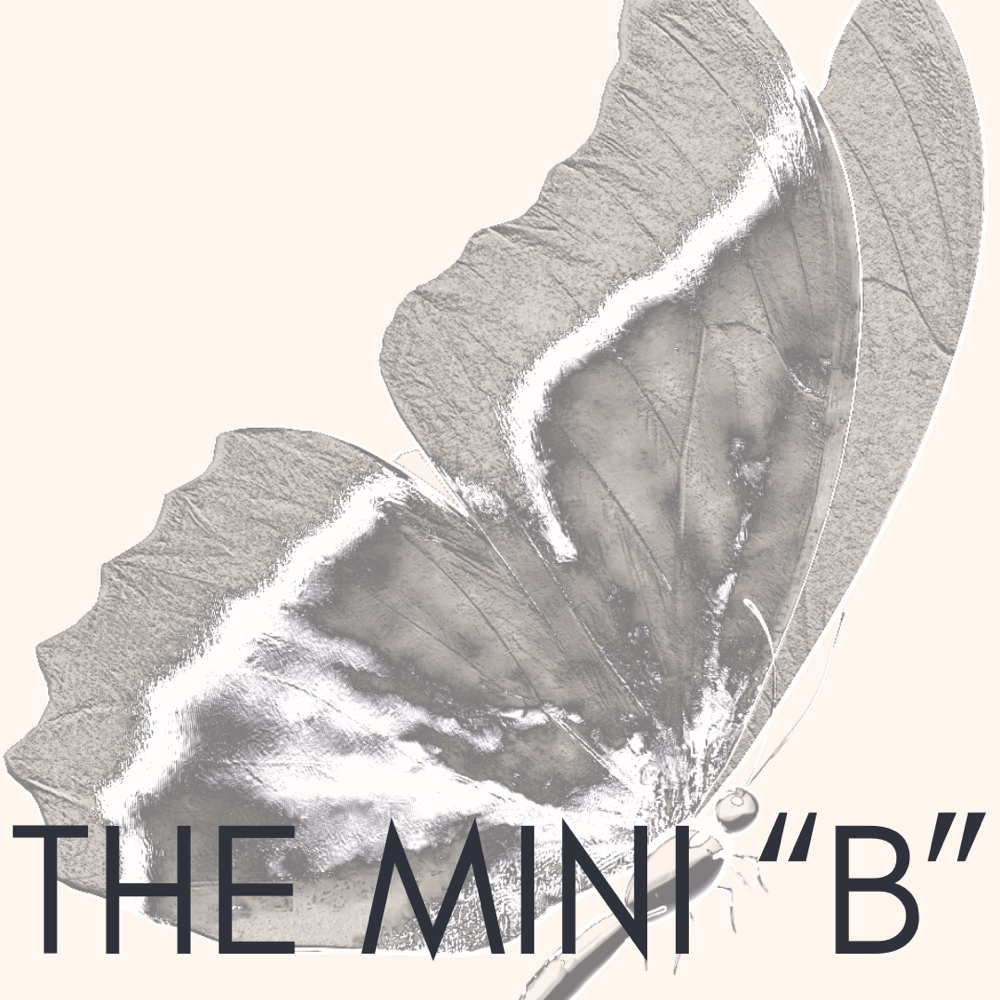 The Mini B