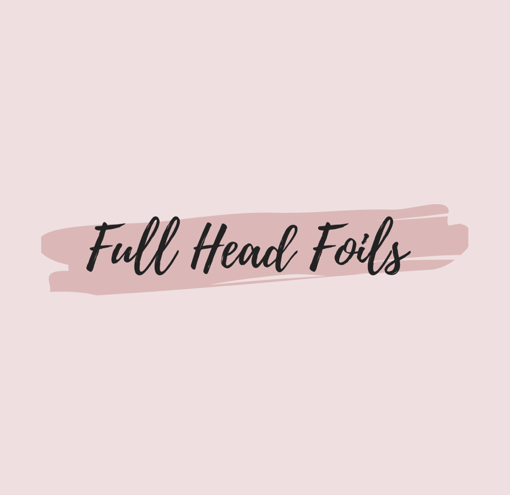 Full Highlight