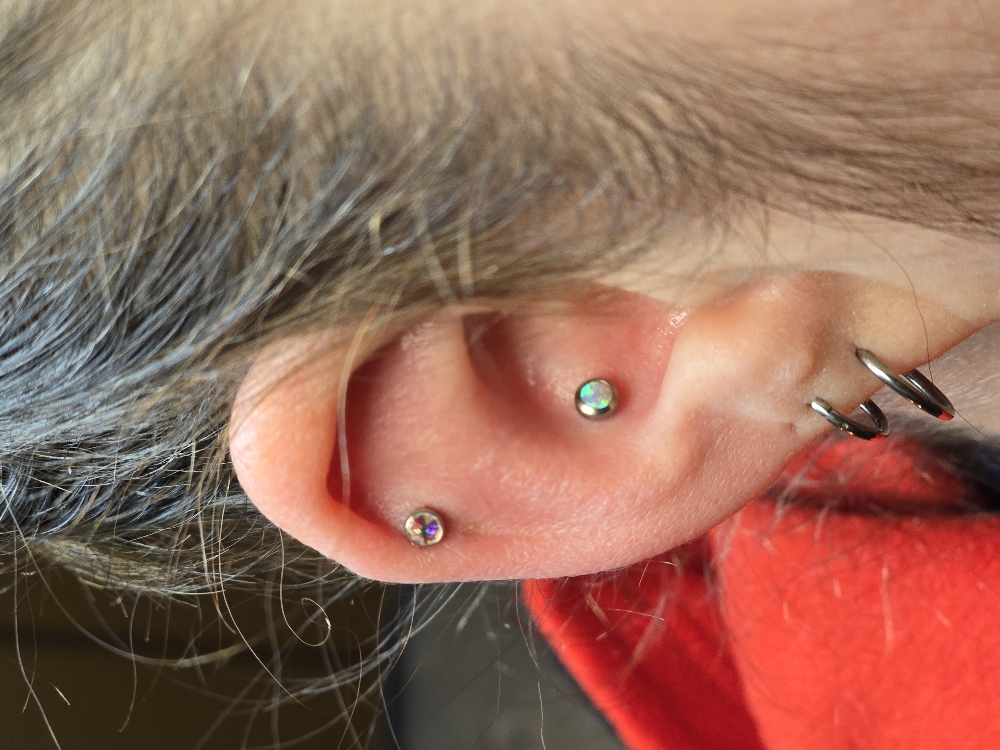 Conch