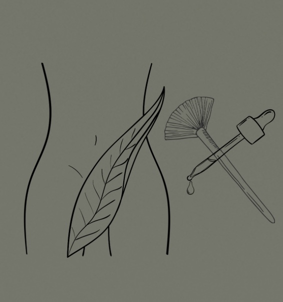 Women’s Brazilian + V-Facial at Aesthetics with Dany in Henderson, NV