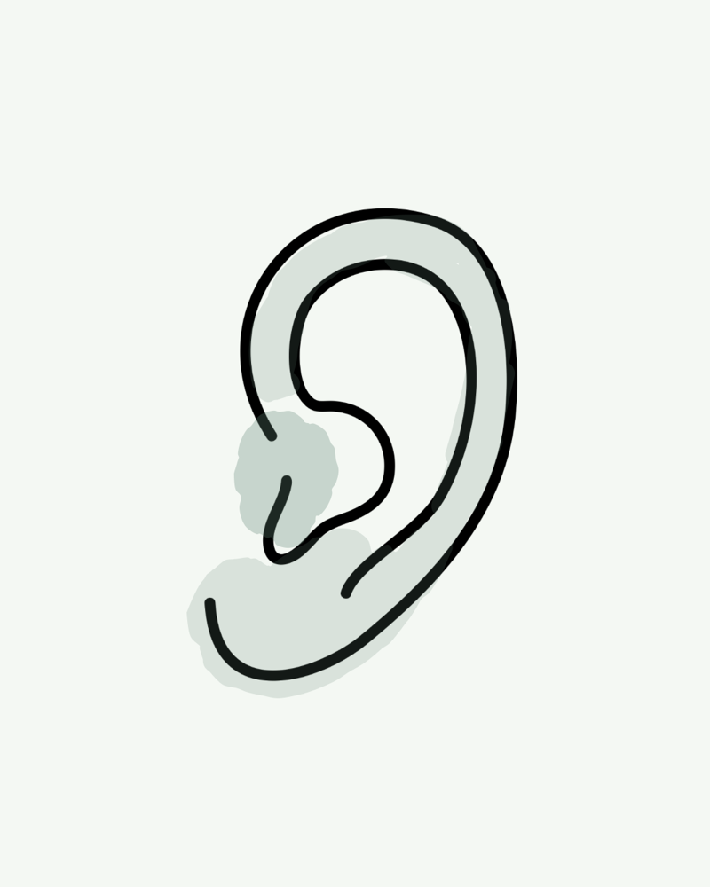Ears