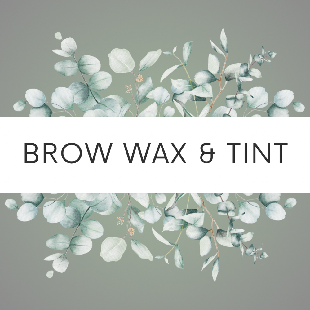 Eyebrow Wax with Tint