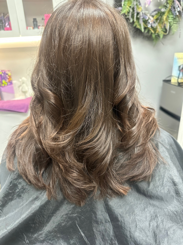 Color Haircut & Blowdry Style at Hair Artistry By Bethann in Leesburg, FL
