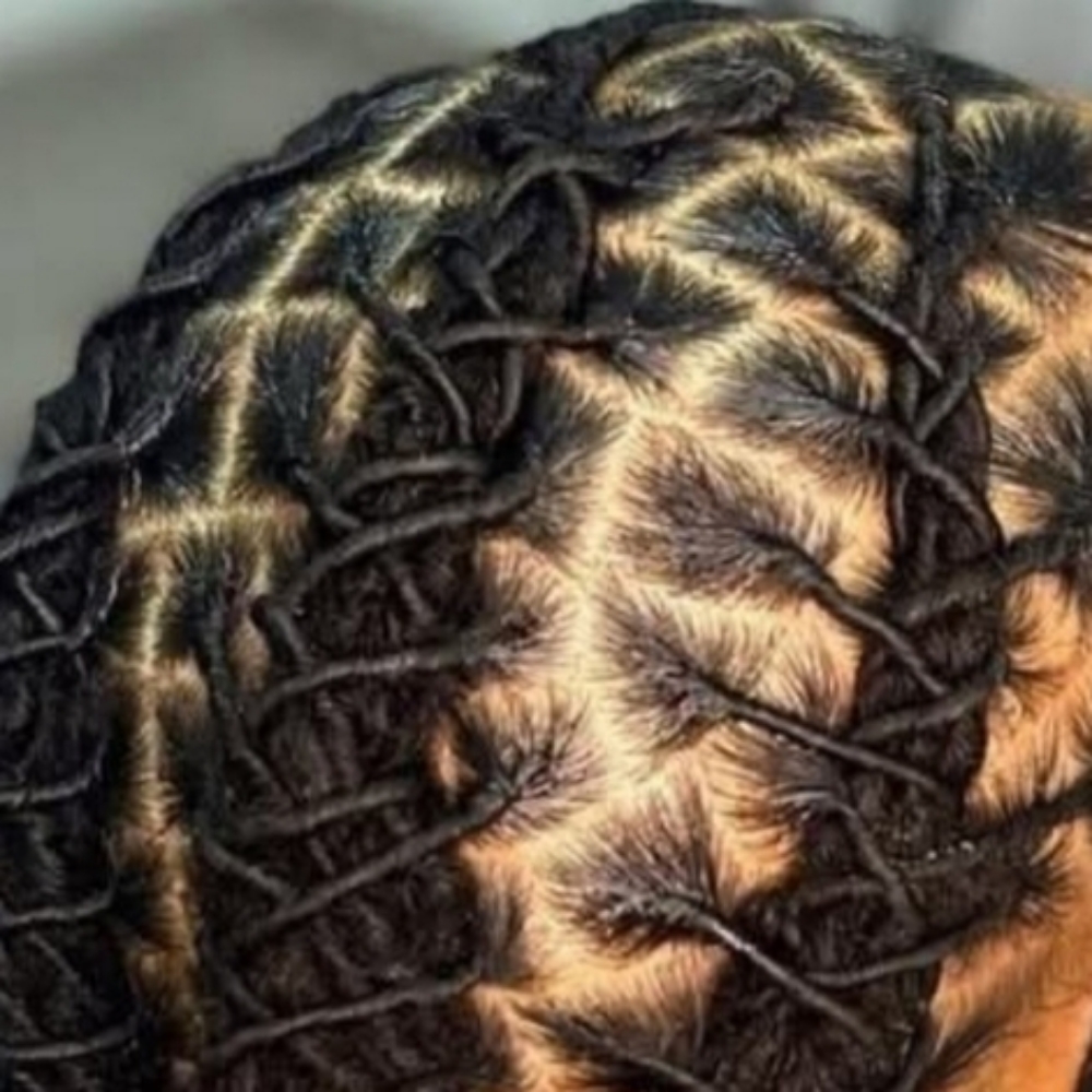 Loc Maintenance/ Basic Style at Locs, Braids & Twists in Laurel, DE