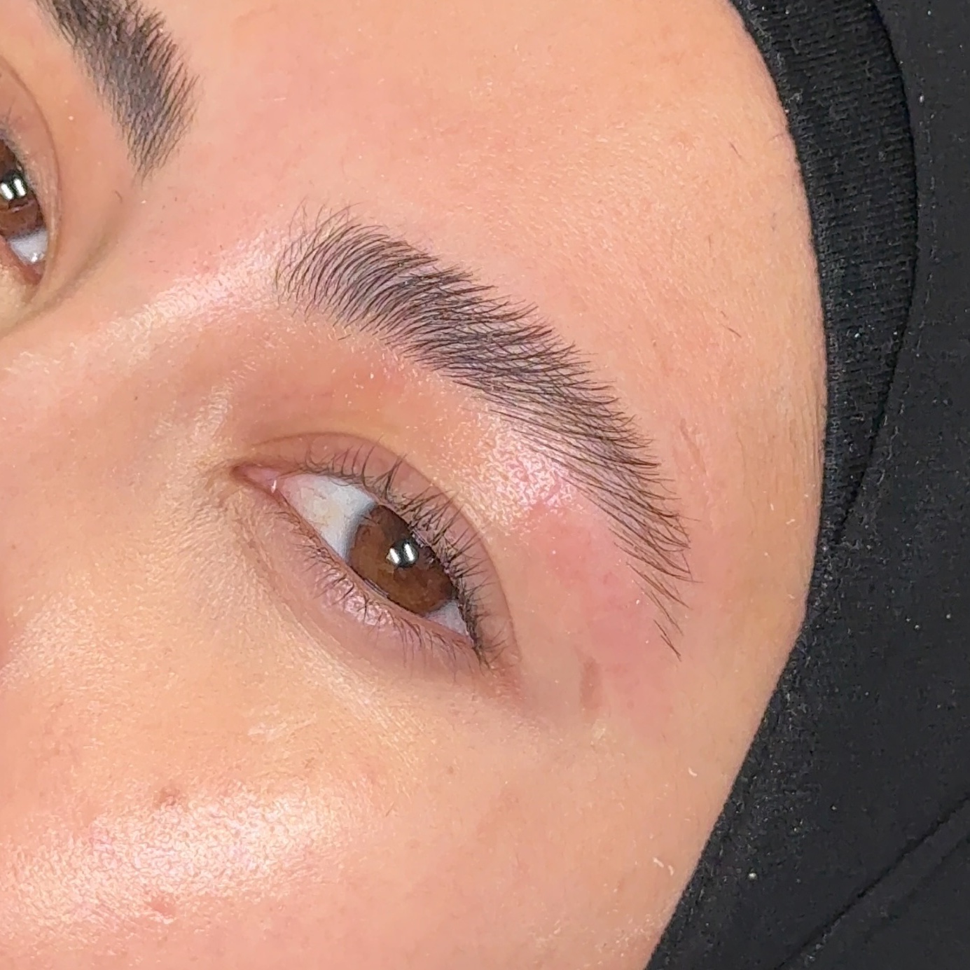 Brow Lamination + Wax at BeautyBySalena in Dearborn, MI