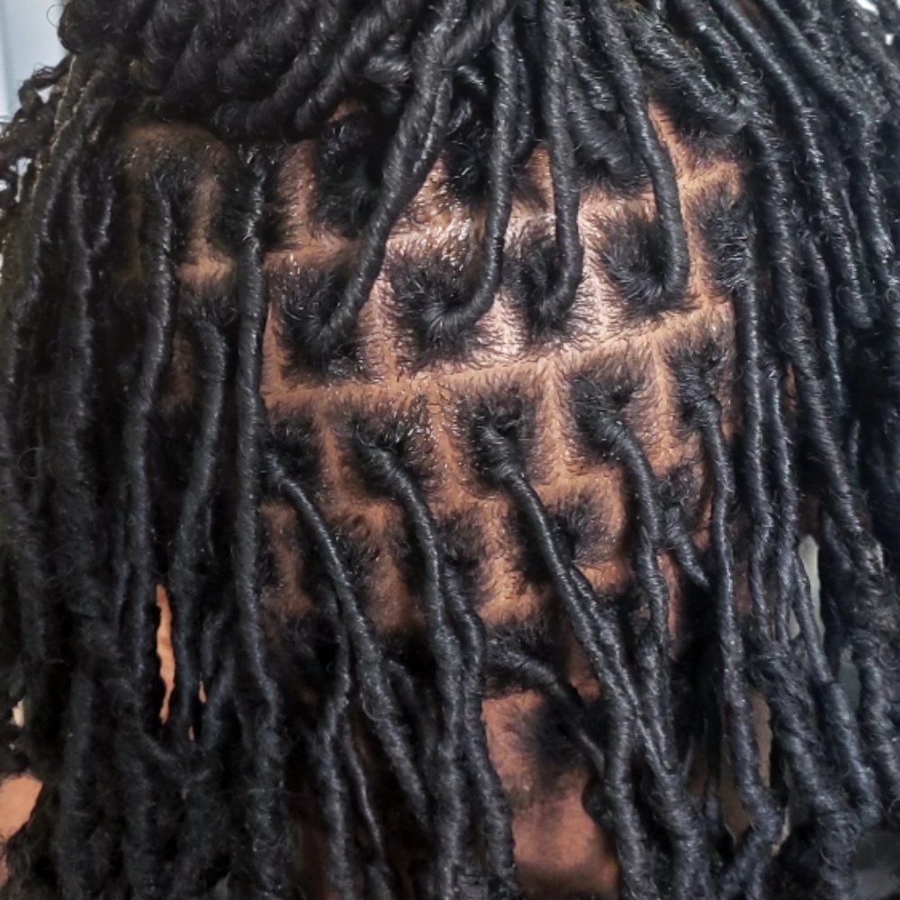Starter Locs at Ashleigh's Artistry in San Jose, CA