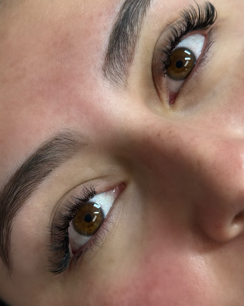 Hybrid Lashes