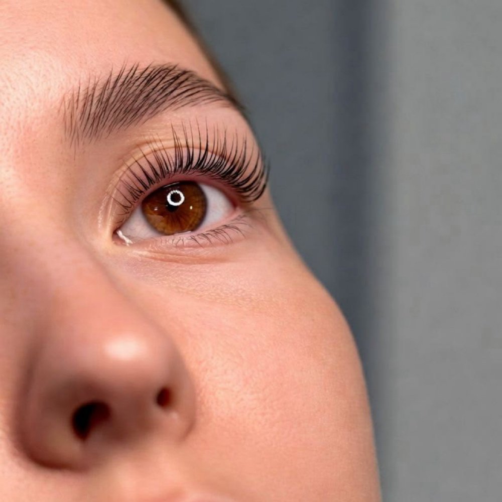 KOREAN LASH LIFT+TINT(POPULAR) at Estephanie in New York, NY