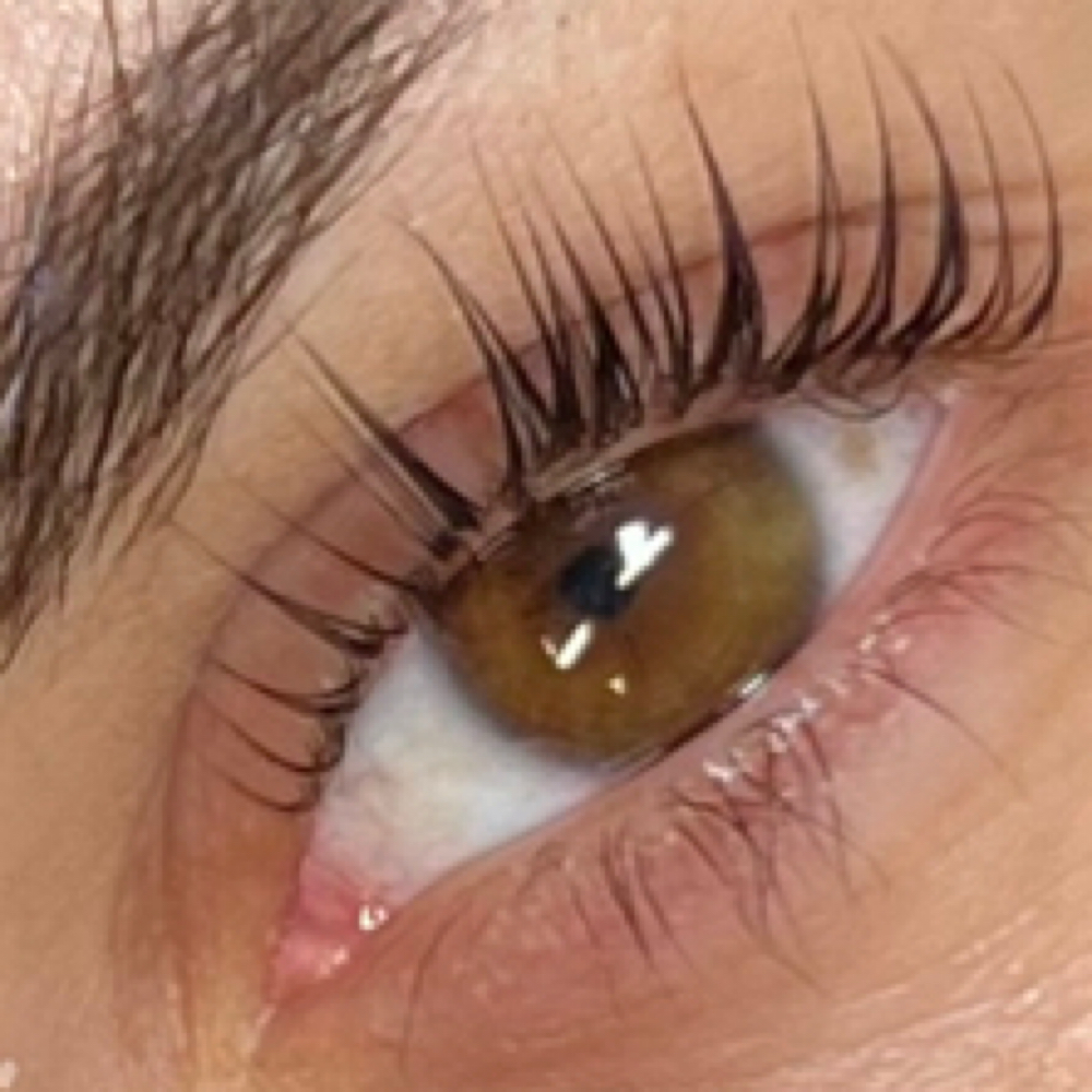 Lash Lift And Tint Combo at LashBeautyBar954 in oakland park, FL