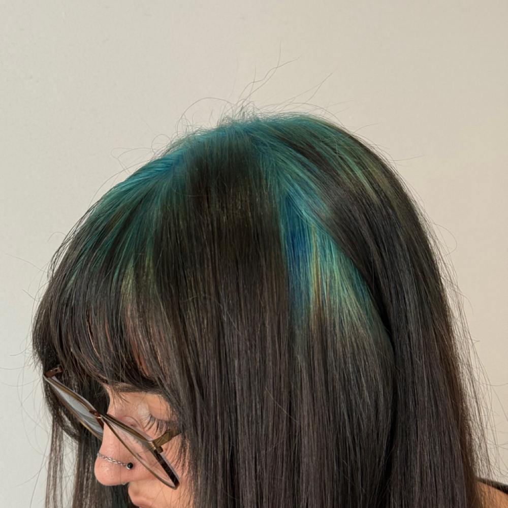 COLOR  RETOUCH at TeeCutsHair in Tampa, FL
