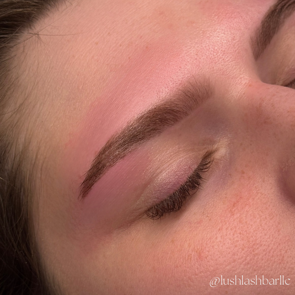 Lash or Brow Tint