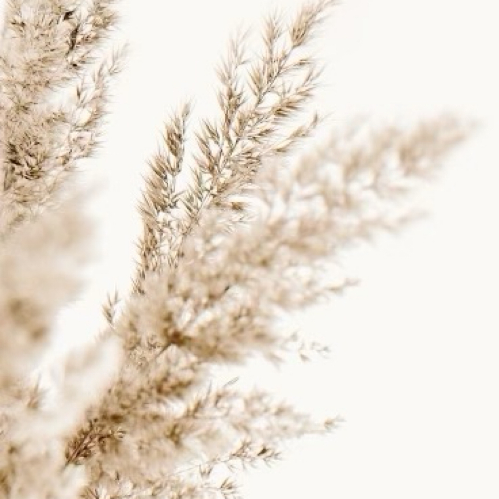 BELLAMI EXTENTION MOVE UP at SHAYOLOGY in Glen Mills, PA