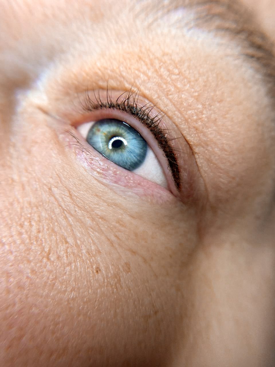 Lash Line Touch Up 30-90 days