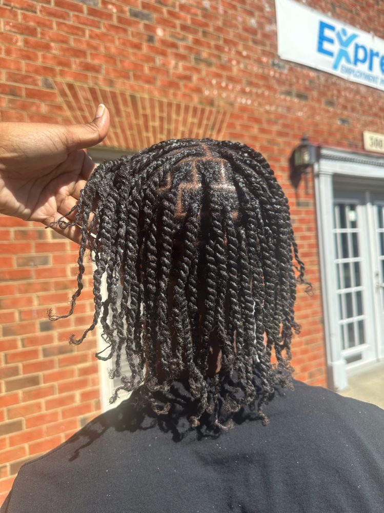 2 Strand Twist/Braids