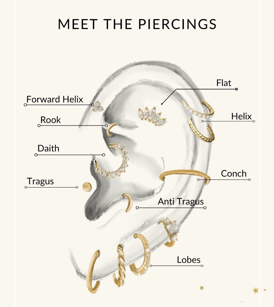 Help Me Choose My Piercing!