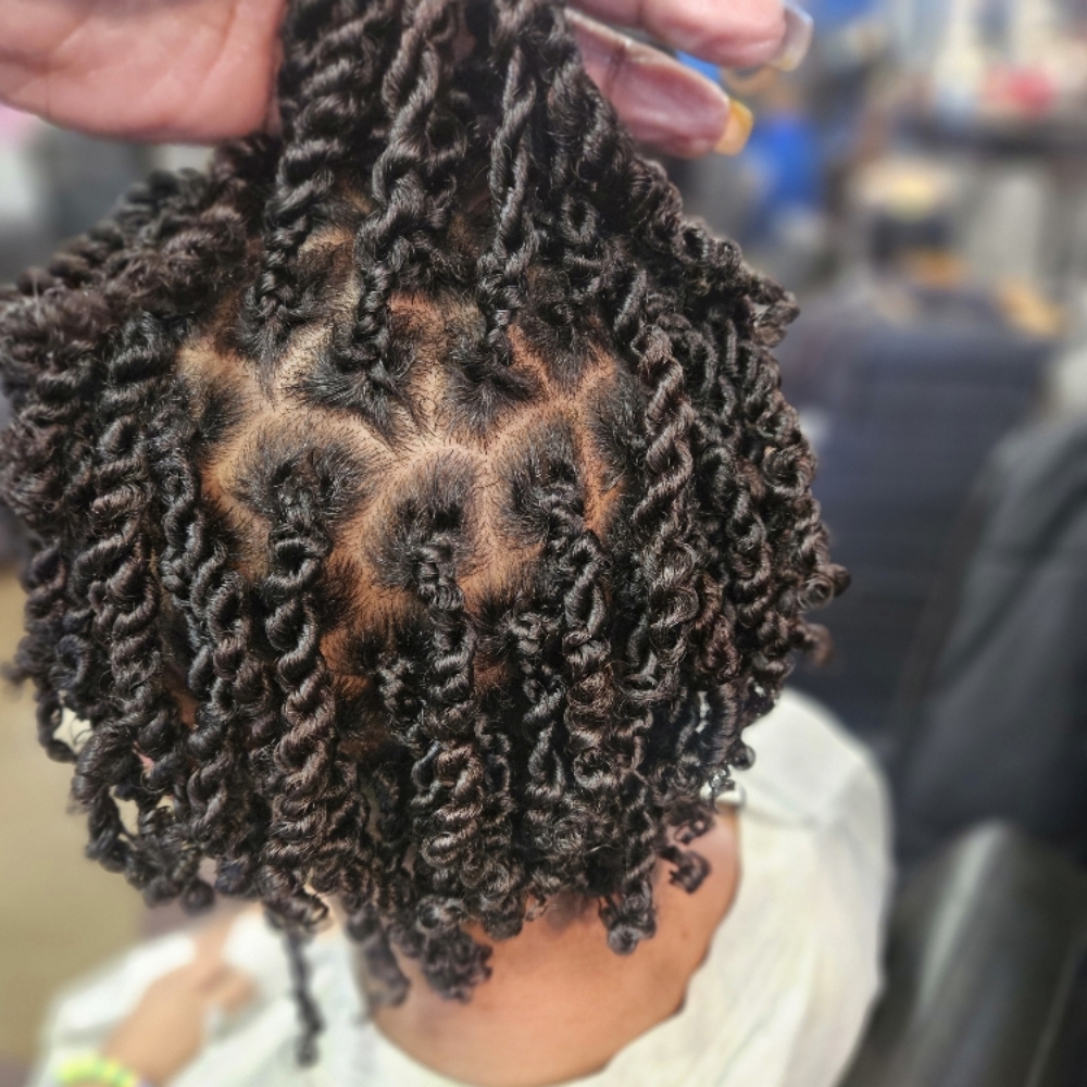 2Strand Twist at Mane Attraxion Beauty in Indianapolis, IN