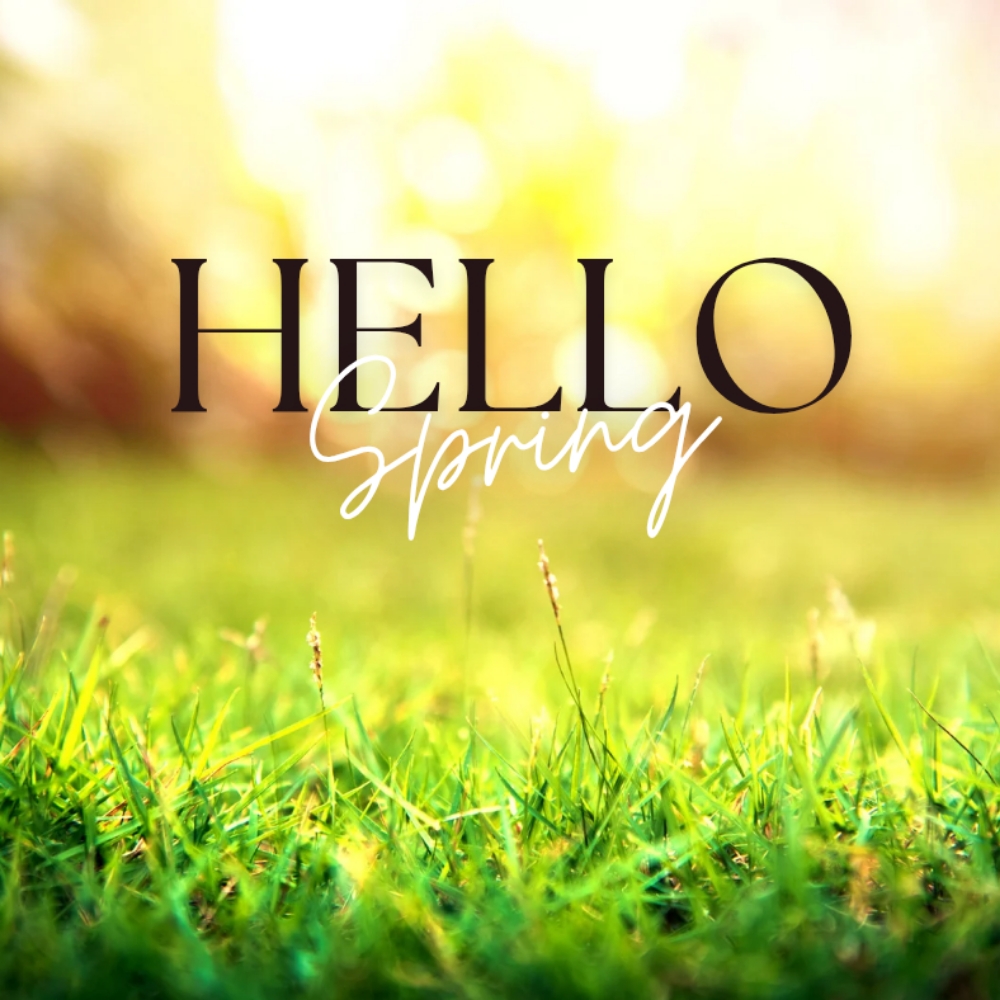 "Spring Reset" Signature Service at Trim & Proper Men's Grooming in Madison Heights, MI