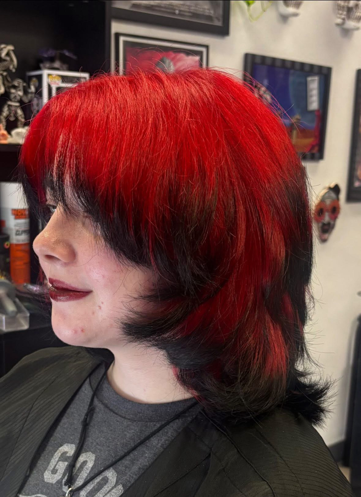 Medium Haircut/Style With Claudia