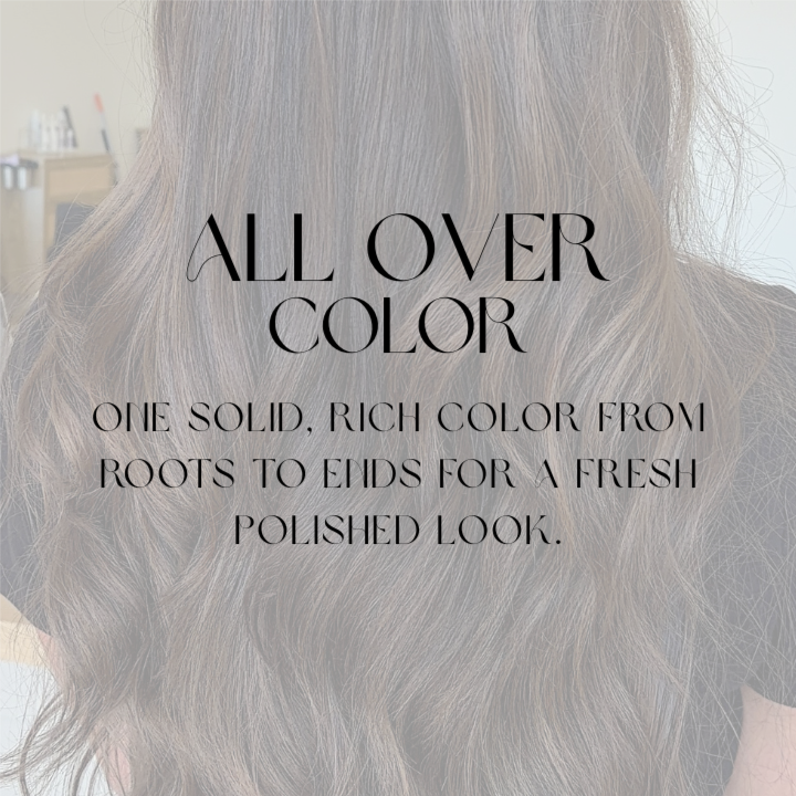 All Over Color at Rose Hair & Co. in Cumming, GA