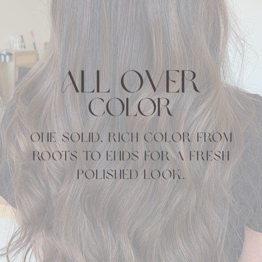All Over Color at Rose Hair & Co. in Cumming, GA
