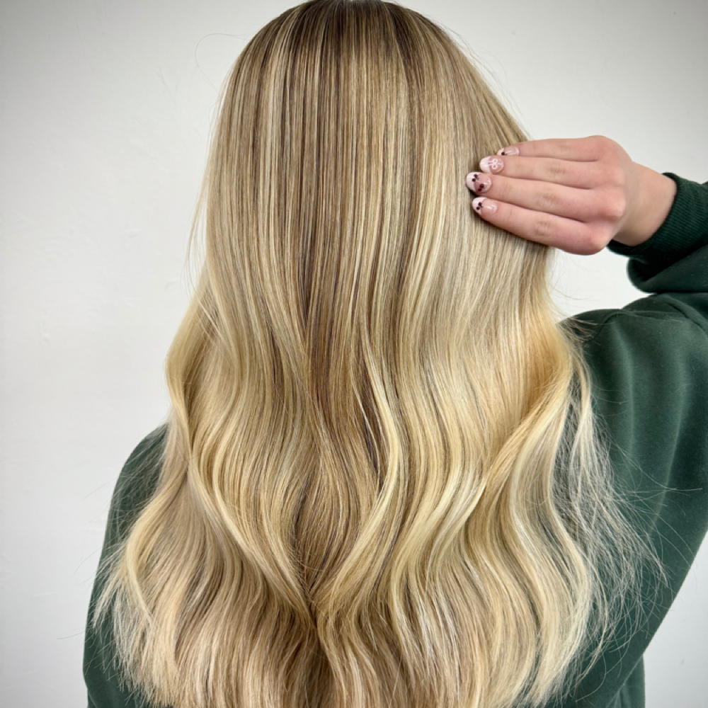 Partial Highlight at Lotus + June in Oklahoma City, OK