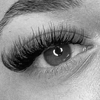 Slightly Shy - Hybrid Lashes at Glow Up Detroit in Southfield, MI