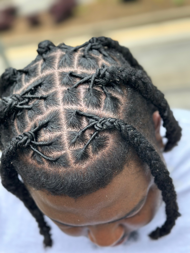 Retwist Adult Box Top