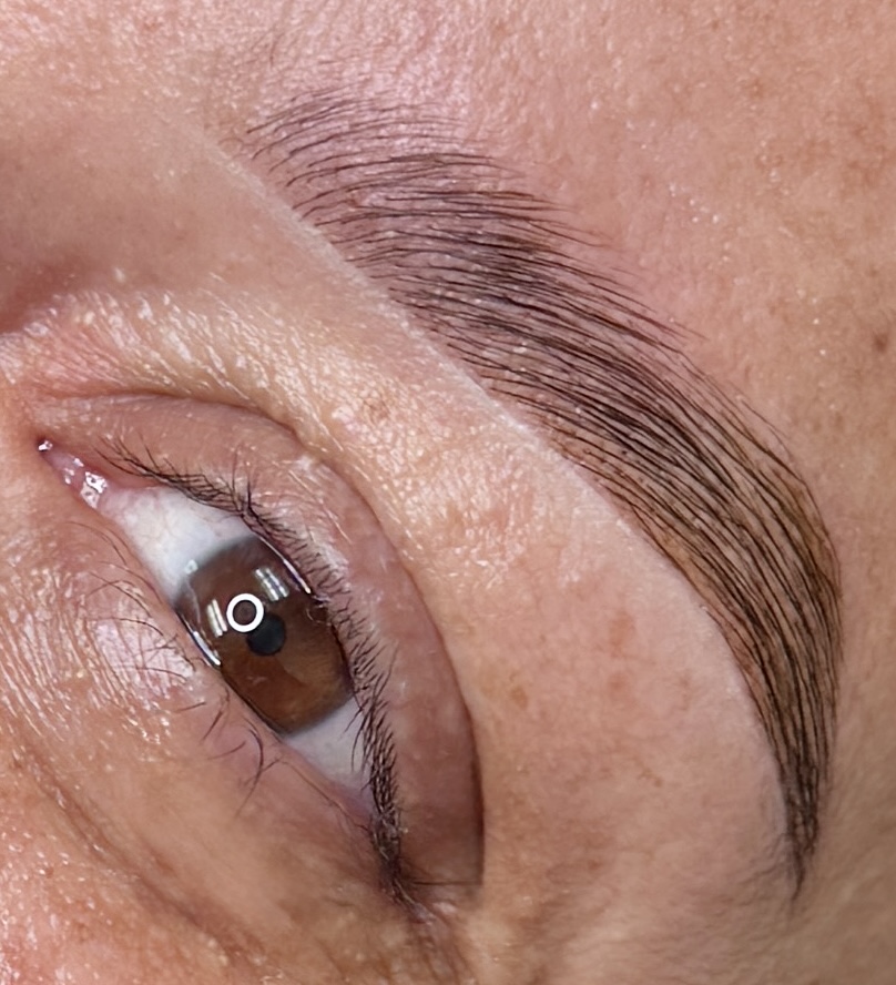 Summer Sale: Brow Lami + Wax + Tint at MXM BROWS in Riverside, CA