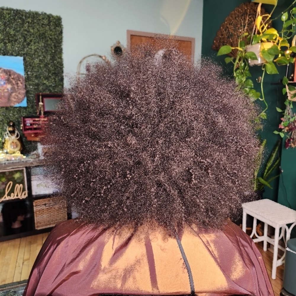 Essential Curl Cut at Echo Creations in Buffalo, NY