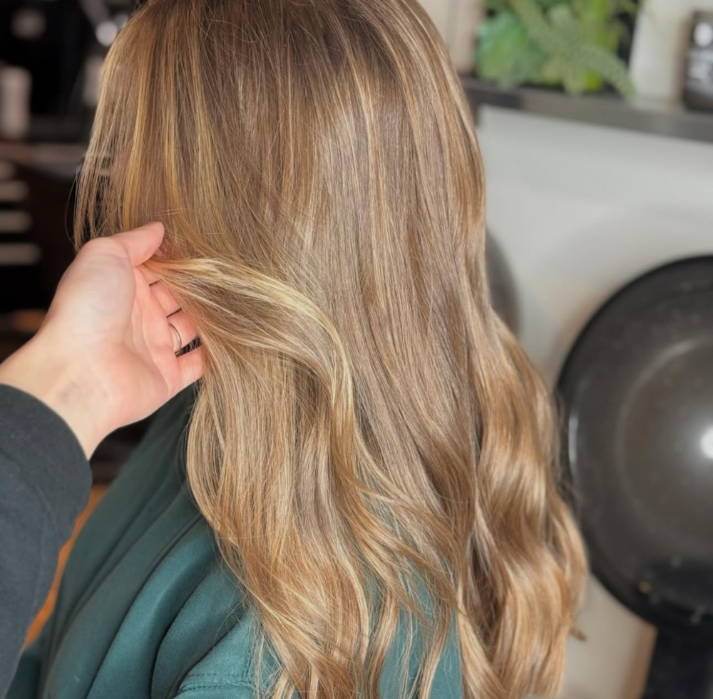 Full Highlight