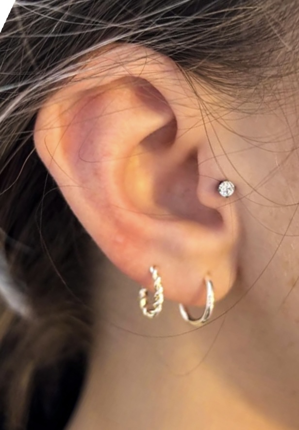Tragus