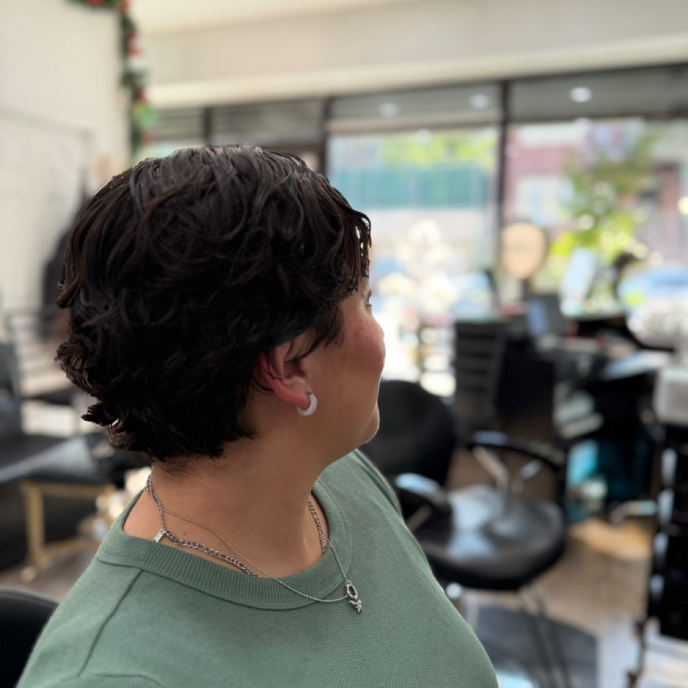 PIXIE CURLY at SoyAfro in Brooklyn, NY