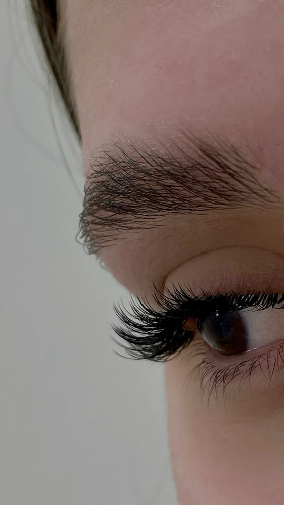 Lash Extensions