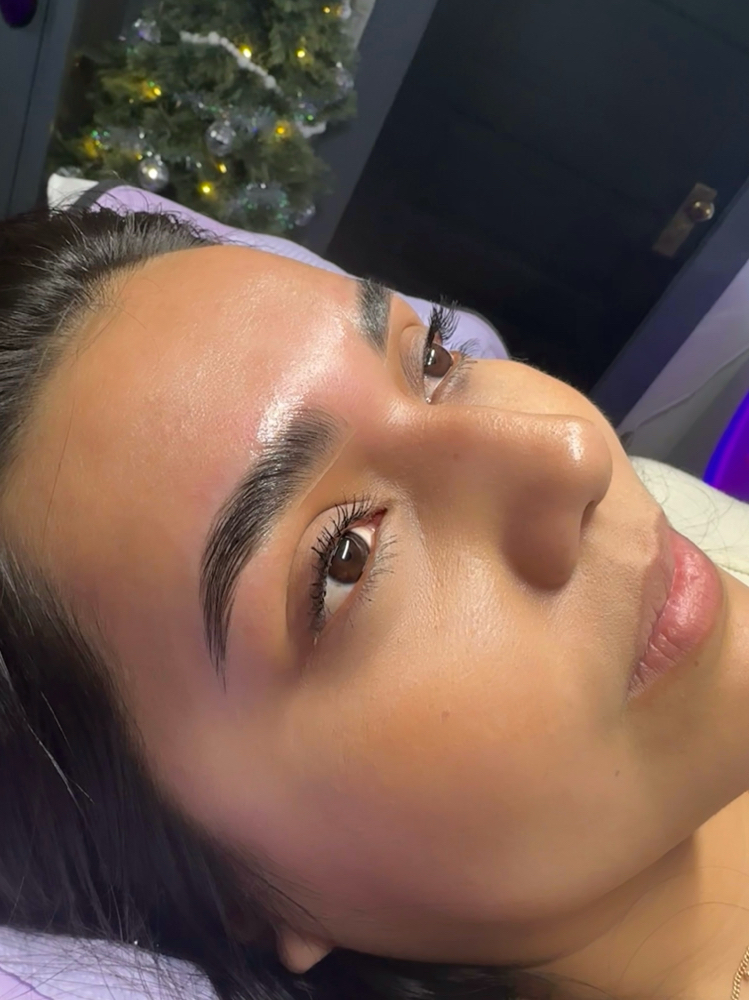 Brow Maintenance |4 Weeks Post Lami