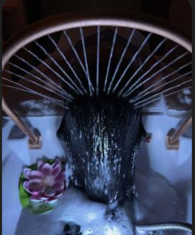 Luxury Japanese Scalp Facial