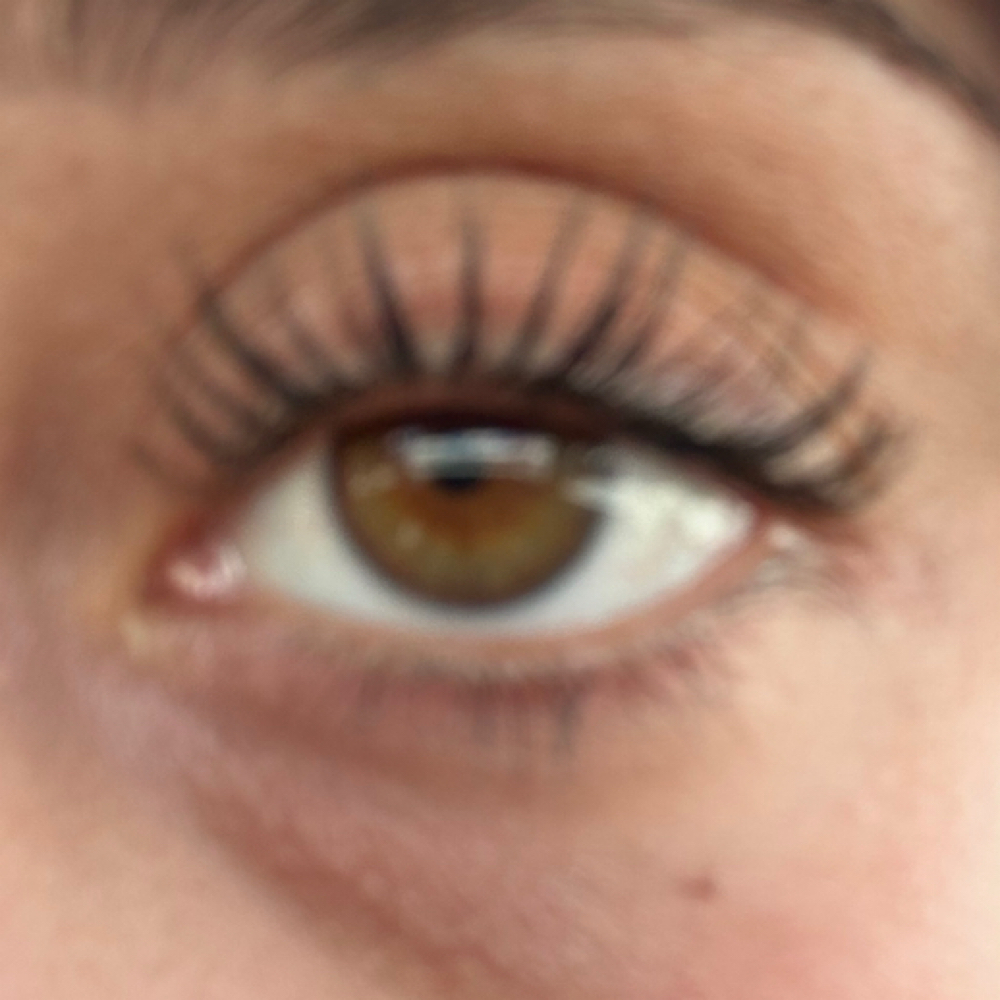Double Processing Lash Lift at Hunny Bunny Lashes in Spring Hill, FL