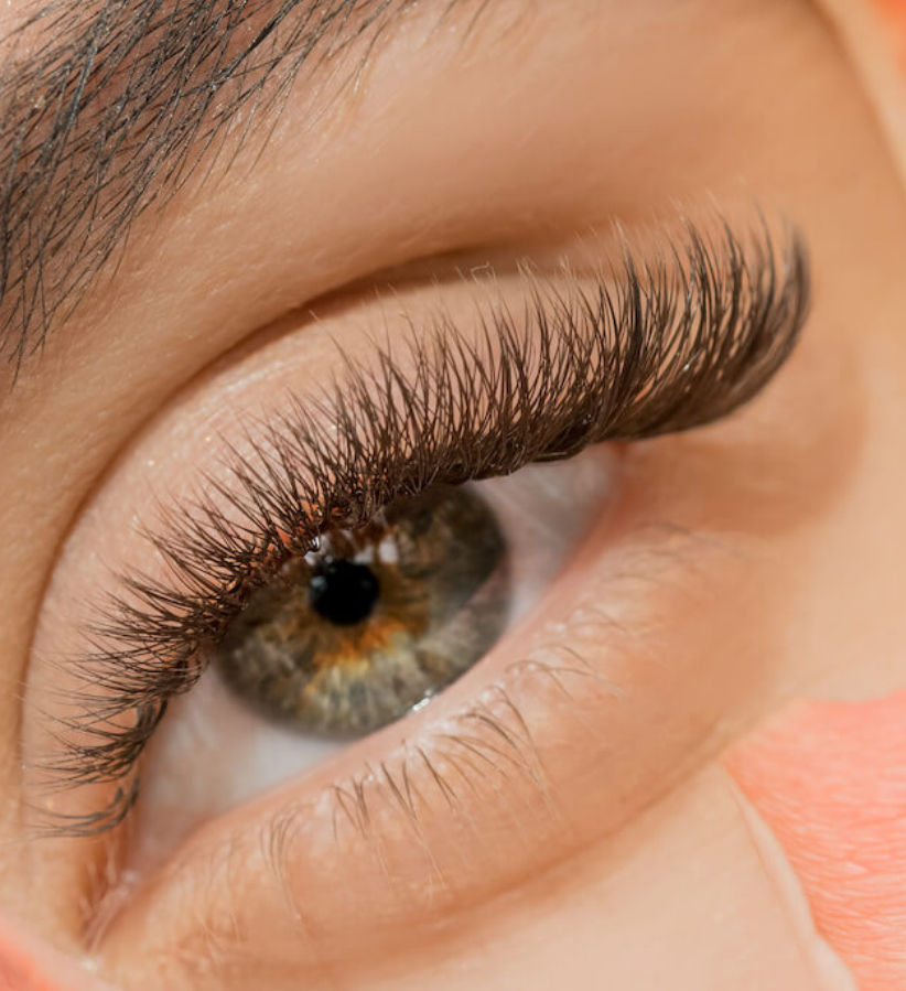 Volume Lashes