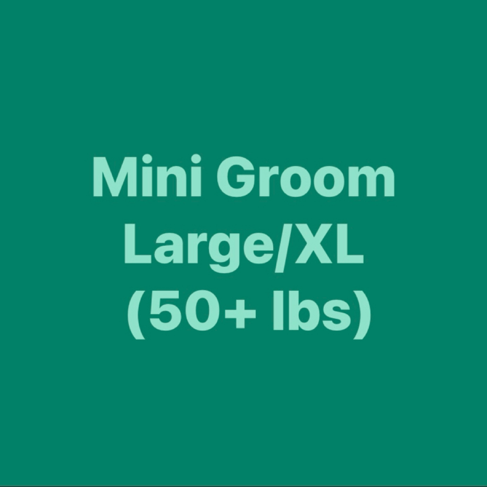 Mini Groom-Large/XL (50+ lbs) at Polished Pup in Larose, LA