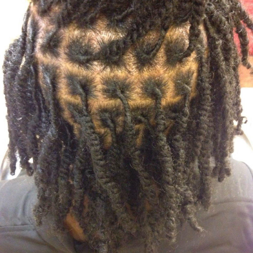 Starter Locs - Two Strand Twist at Empress Locs in Bloomfield, CT