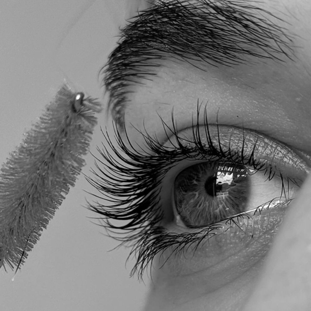 LASH TINT ONLY at Tinted x Sky in Castle Rock, CO